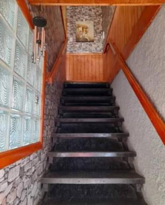 Leon Apartamento Puerto Natales